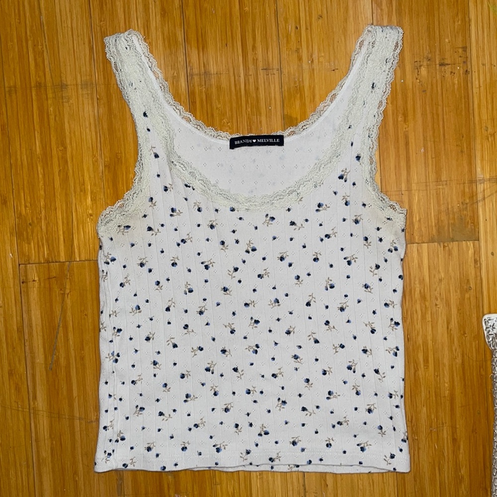 Brandy Melville Crop Top